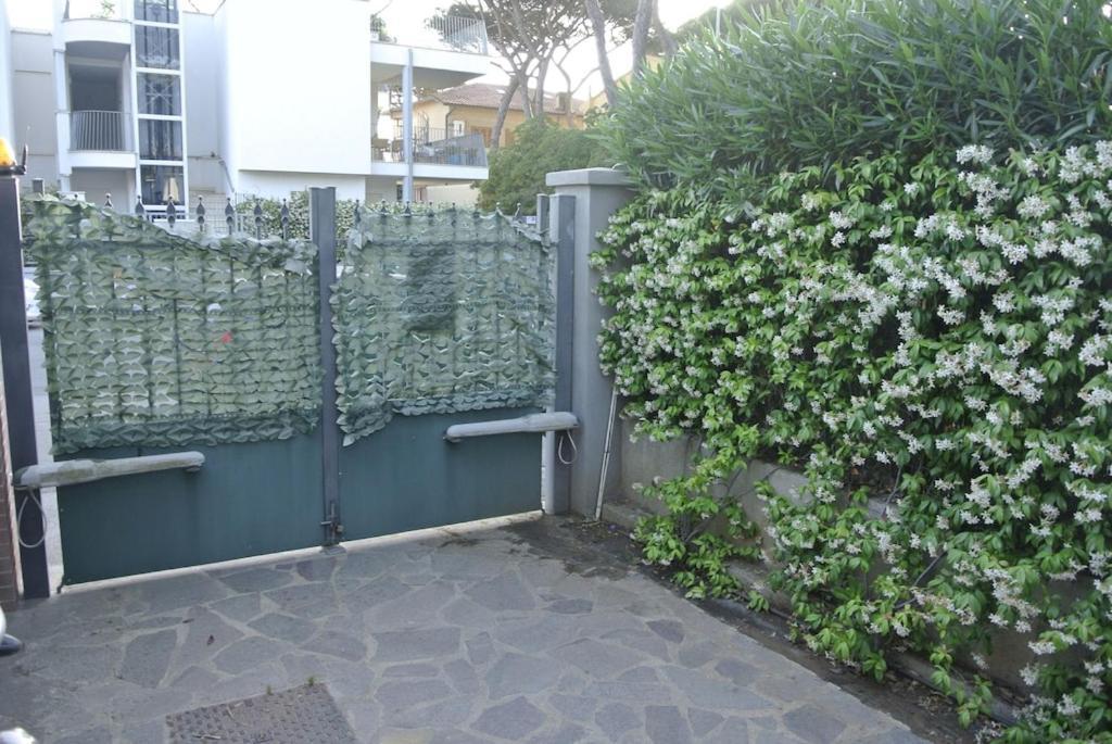 Gelsomino: Seaside Retreat With Garden And Parking Holiday home *